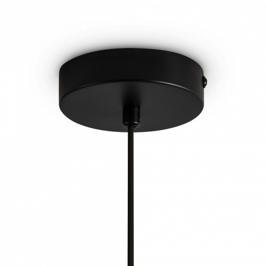 Подвесной светильник Freya Irisa FR5593PL-01B