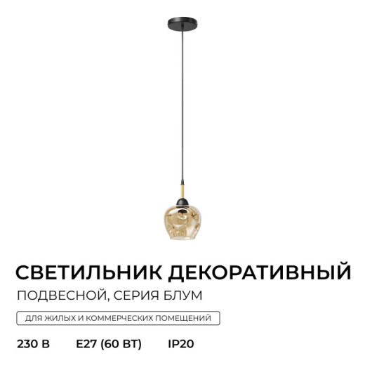 Подвесной светильник Apeyron Electrics  16-205