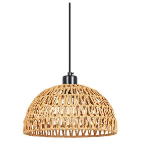 Подвесной светильник Arte Lamp BRUSHWOOD A7086SP-1BK