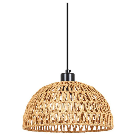 Подвесной светильник Arte Lamp BRUSHWOOD A7086SP-1BK