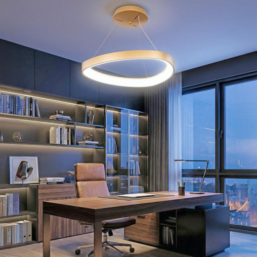 Подвесной светильник Citilux GENKA SMART CL756A042