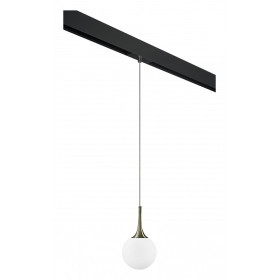 Подвесной светильник Lightstar Globo PRO813011