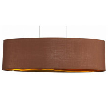 Подвесной светильник EVOLUCE Brescia SLE300553-03