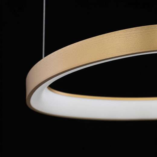 Подвесной светильник Citilux GENKA SMART CL756A092