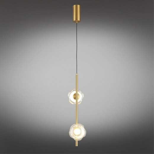 Подвесной светильник Aployt Tereze APL.074.06.02