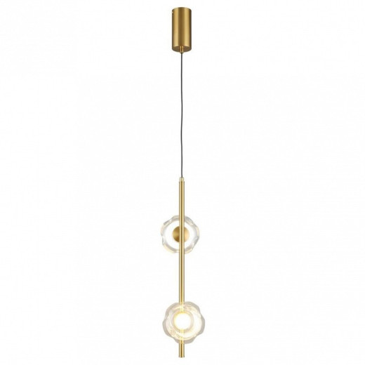 Подвесной светильник Aployt Tereze APL.074.06.02
