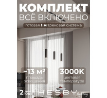 Комплект трековый Hesby Lighting Skylite №12 HSBL_kompl_S012_VI1B3K