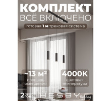Комплект трековый Hesby Lighting Skylite №12 HSBL_kompl_S012_NI1B4K