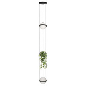 Подвесной светильник Loft it Jardin 10121/2P Dark grey