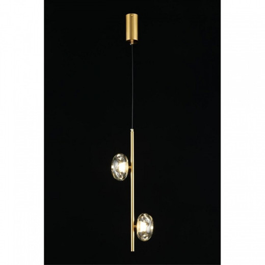 Подвесной светильник Aployt Tereze APL.074.06.02