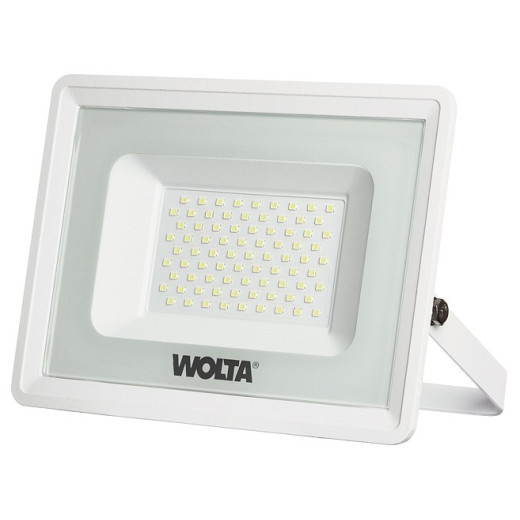 Настенно-потолочный прожектор Wolta  WFL-70W/06W
