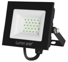Настенно-потолочный прожектор Luminarte LFL LFL-30W/07