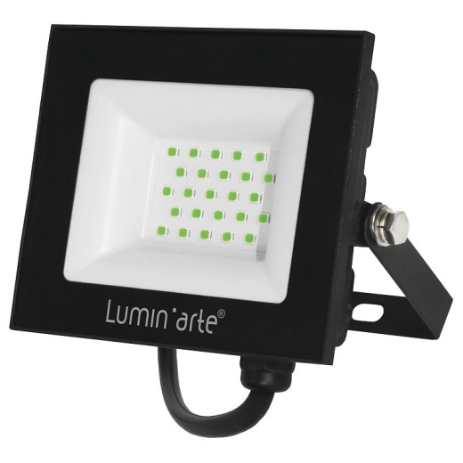Настенно-потолочный прожектор Luminarte LFL LFL-30W/07