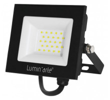 Настенно-потолочный прожектор Luminarte LFL-30W LFL-30W/06