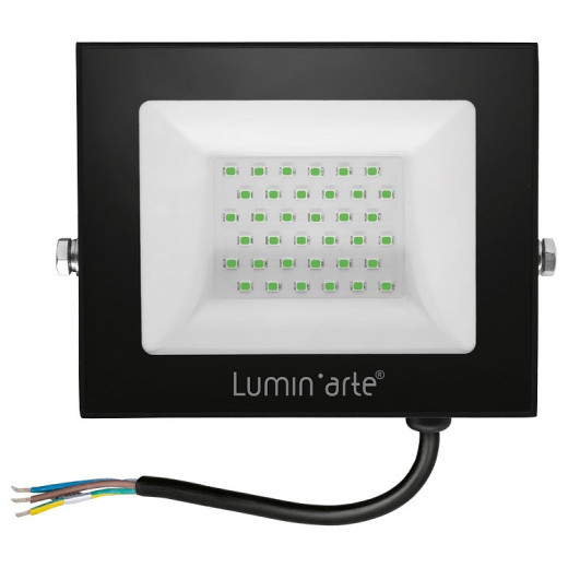Настенно-потолочный прожектор Luminarte LFL LFL-50W/07