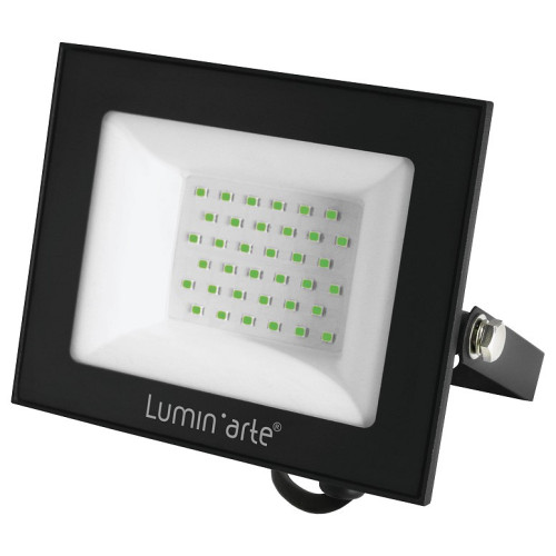 Настенно-потолочный прожектор Luminarte LFL LFL-50W/07