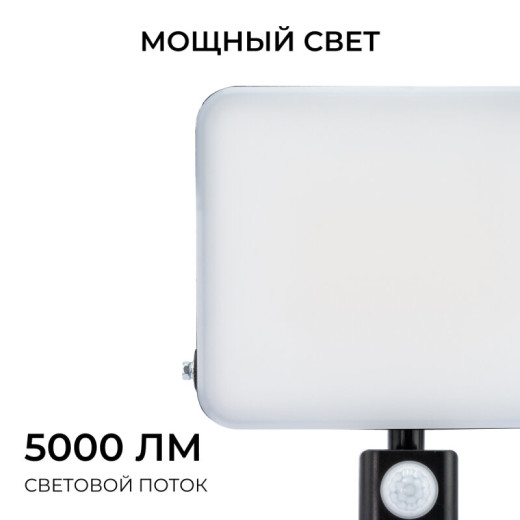 Настенно-потолочный прожектор Apeyron Electrics  05-55