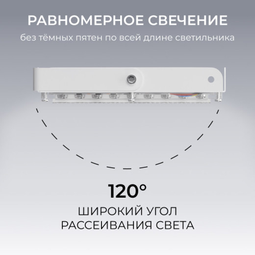 Настенно-потолочный прожектор Apeyron Electrics  05-62