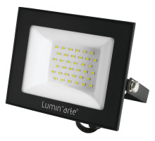 Настенно-потолочный прожектор Luminarte LFL-50W LFL-50W/06