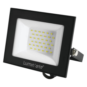 Настенно-потолочный прожектор Luminarte LFL-50W LFL-50W/06