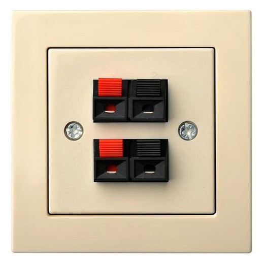 Розетка акустическая без рамки LIREGUS EPSILON 28-087