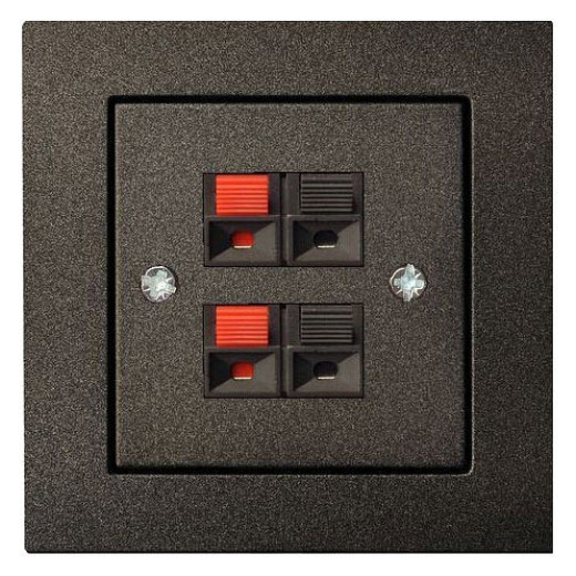 Розетка акустическая без рамки LIREGUS EPSILON 28-1141