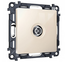 ТВ-розетка оконечная без рамки Ambrella Volt ALFA MA313005