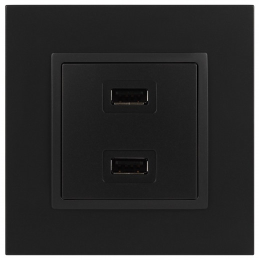 Розетка 2хUSB type A без рамки Эра Эра Elegance 14-4110-05