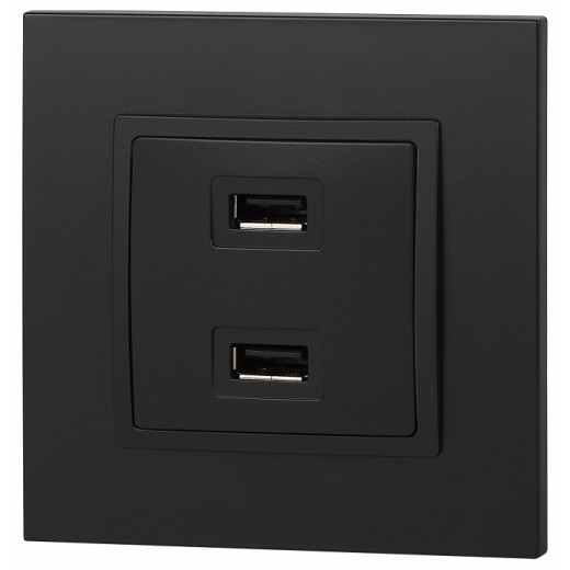 Розетка 2хUSB type A без рамки Эра Эра Elegance 14-4110-05