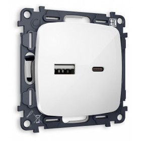 Розетка 2хUSB type A и C без рамки Ambrella Volt MO MO111010