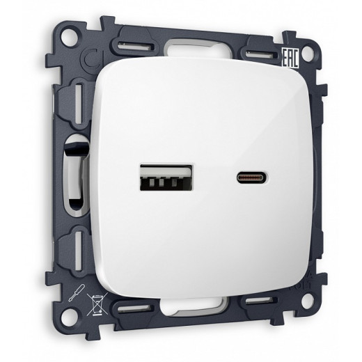 Розетка 2хUSB type A и C без рамки Ambrella Volt MO MO111010