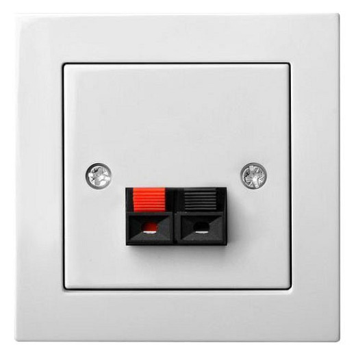 Розетка акустическая без рамки LIREGUS EPSILON 28-036