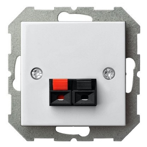 Розетка акустическая без рамки LIREGUS EPSILON 28-036