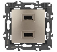 Розетка 2хUSB type A без рамки Эра Эра Elegance 14-4110-04