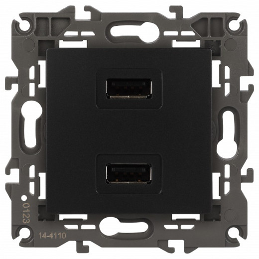 Розетка 2хUSB type A без рамки Эра Эра Elegance 14-4110-05