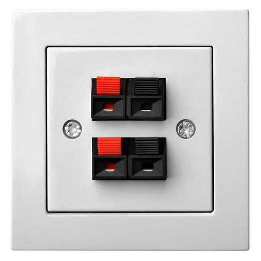 Розетка акустическая без рамки LIREGUS EPSILON 28-037