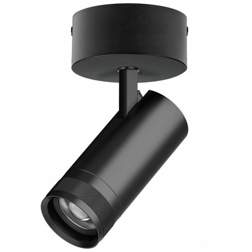 Спот Lightstar Canno Pro C4207SO