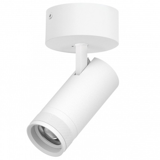 Спот Lightstar Canno Pro C4206SO