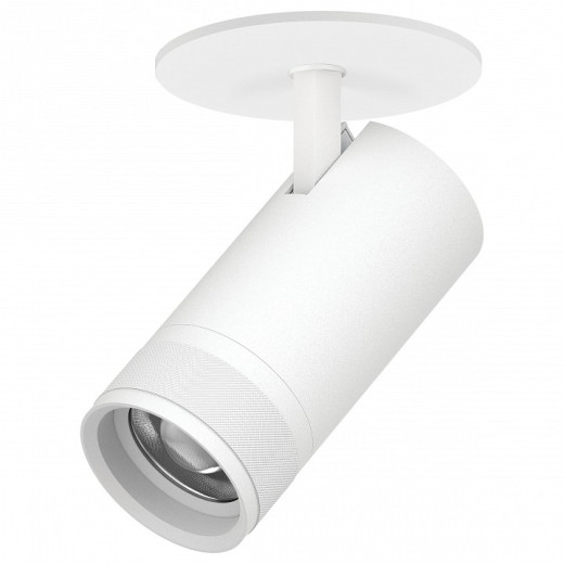 Спот Lightstar Canno Pro C4306RS