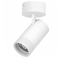 Спот Lightstar Canno Pro C4406SO