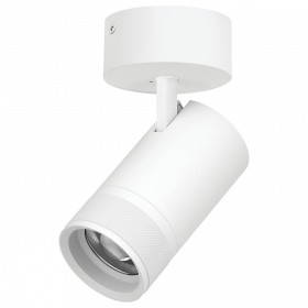 Спот Lightstar Canno Pro C4406SO