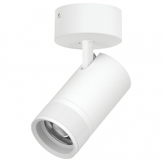 Спот Lightstar Canno Pro C4406SO