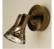 Спот Citilux Винон CL519513