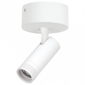 Спот Lightstar Canno Pro C4126SO