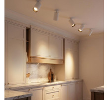 Спот Citilux AXEL CL512D10