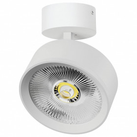 Спот Lightstar Alta Pro A5736SO