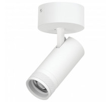 Спот Lightstar Canno Pro C4206SO