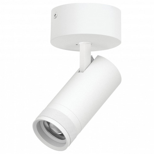 Спот Lightstar Canno Pro C4206SO