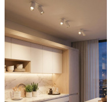 Спот Citilux AXEL CL512D20