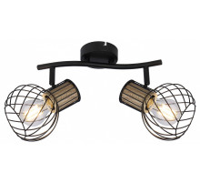 Спот Globo Luise 54012-2S